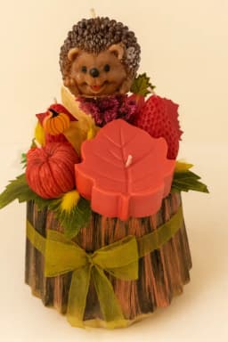 Допълнителна снимка 8