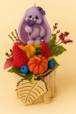 Допълнителна снимка 9