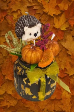 Допълнителна снимка 1