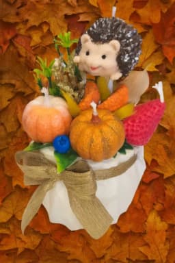 Допълнителна снимка 2